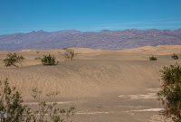 DeathValley-2021-72