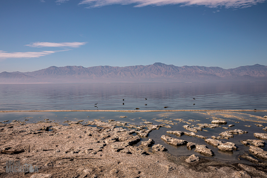 Salton Sea