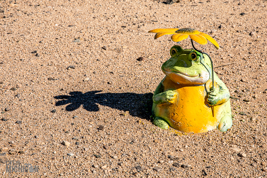 Desert Oddities - Glass Outhouse Art Gallery