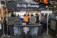 Detroit Fall Beer Fest - Usual Suspects - 2015 -15