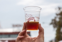 Detroit Fall Beer Fest - Usual Suspects - 2015 -6