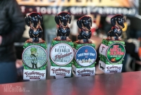 Detroit Fall Beer Fest 2016-41