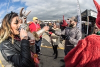 Detroit Fall Beer Festival - 2017-341
