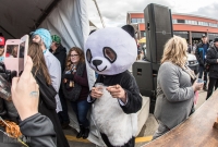 Detroit Fall Beer Festival - 2017-424