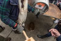 Detroit Fall Beer Festival - 2017-430