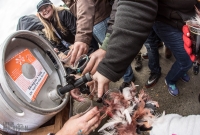 Detroit Fall Beer Festival - 2017-433