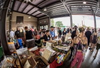 Detroit Festival of Books - 2017