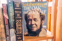 Detroit-Festival-of-Books-2025-60