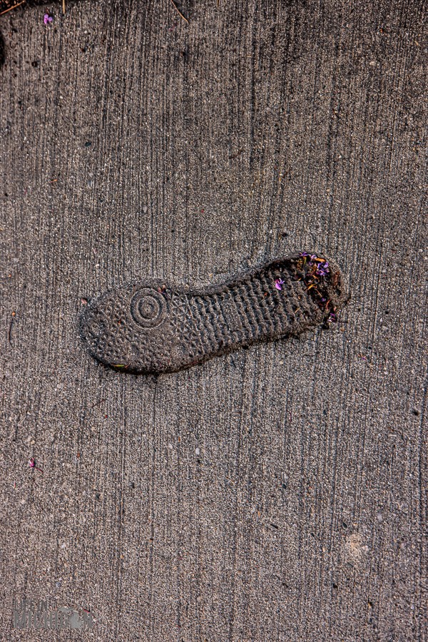 Negative Influence - Detroit Photowalk 2026