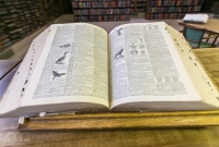 Detroit Public Library - 2015-18