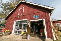 Dexter Cider Mill - 2016-2