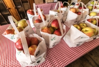 Dexter Cider Mill - 2016-4