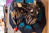 DIYpsi Indie Art Fair