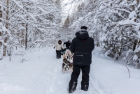 Dogsledding Munising - U.P. Winter - 2014 -11