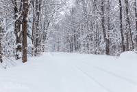 Dogsledding Munising - U.P. Winter - 2014 -4