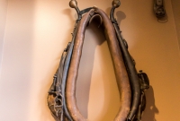 Draught Horse Brewing - 2015-14