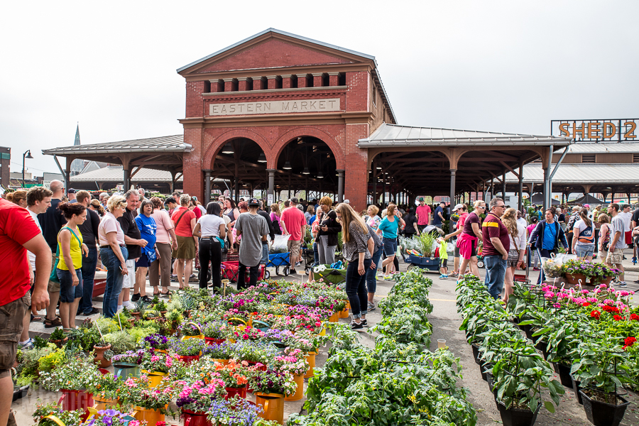 Detroit's Eastern Market Flower Day - 2015-26