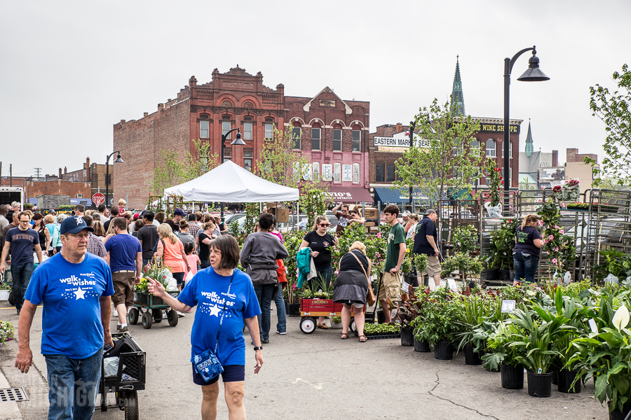 Detroit's Eastern Market Flower Day - 2015-38
