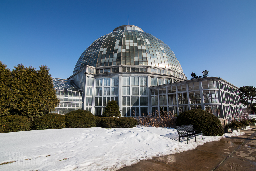 Explore Detroit - Belle Isle Aquarium - 2015-11