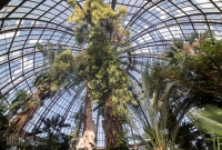 Explore Detroit - Belle Isle Aquarium - 2015-12