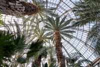 Explore Detroit - Belle Isle Aquarium - 2015-13