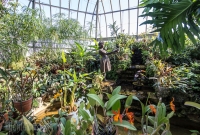 Explore Detroit - Belle Isle Aquarium - 2015-14