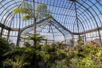 Explore Detroit - Belle Isle Aquarium - 2015-16