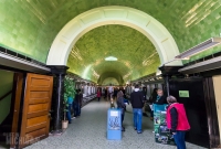 Explore Detroit - Belle Isle Aquarium - 2015-2