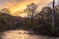 Fall 2015-1