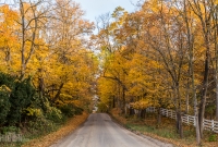 Fall 2015-2