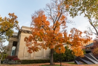 Fall 2015-7