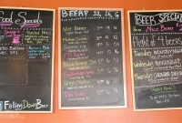Falling Down Brewery - Warren, MI - 2014