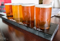 Falling Down Brewery - Warren, MI - 2014