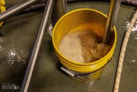 Fermenta-Perrin-2022-123