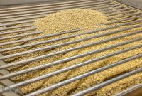 Fermenta-Perrin-2022-24