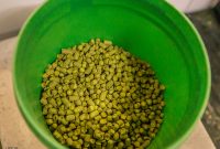 Fermenta-Perrin-2022-85