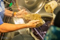 Fermenta-Perrin-2022-95