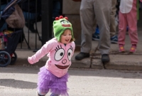 FestiFools Parade Ann Arbor MI 2014