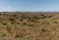 Forgotten-Highway-New-Zealand-28