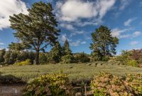 Forgotten-Highway-New-Zealand-6