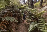 Forgotten-Highway-New-Zealand-9