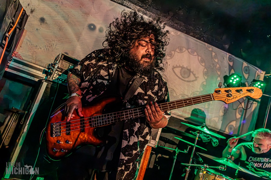 Fuzz Fest 11
