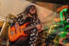 FuzzFest11-Day3-17