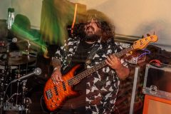 FuzzFest11-Day3-30