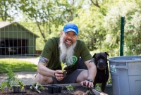 Spring Gardening, Chuck and Charlie planting lettuce