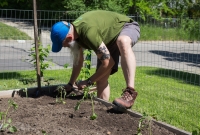 Spring Gardening, Chuck really getting into the gardening thing