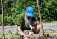 Spring Gardening, Chuck planting radishes