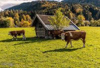 Germany-Garmisch-37