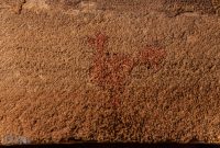 Germany-Nuremberg-94