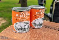 Gilmore-Car-Museum-2024-8